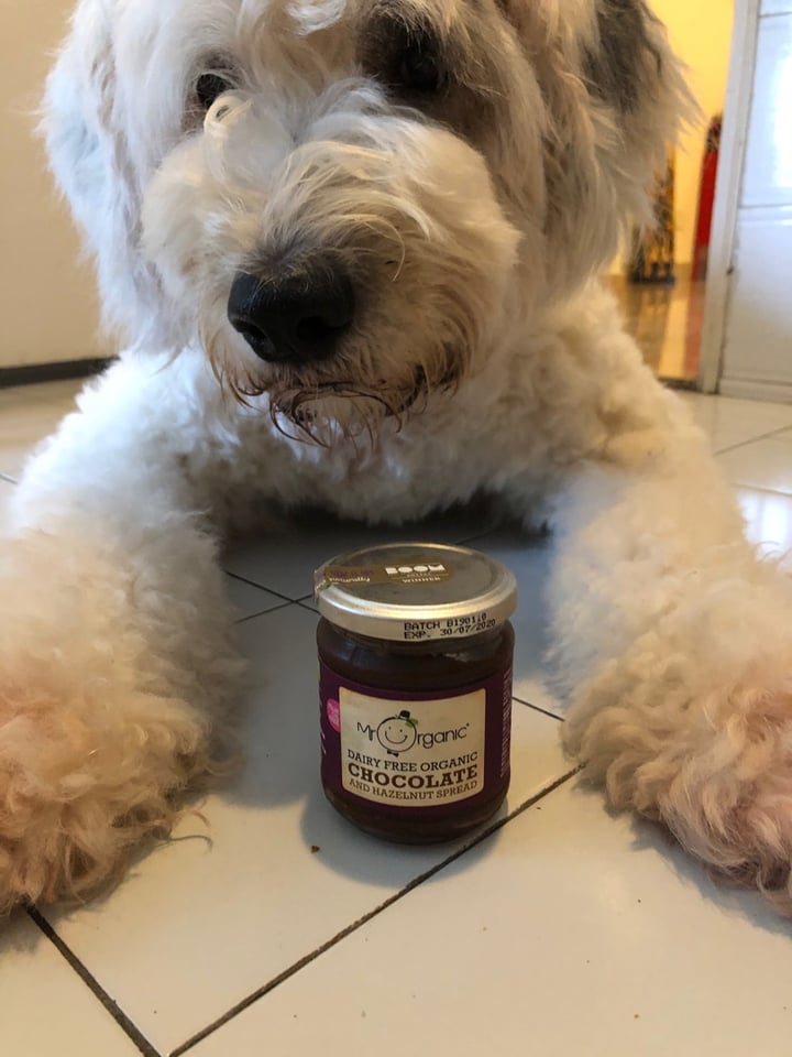 photo of Mr Organic Dairy Free Organic Chocolate and Hazelnut Spread shared by @brigittestaps on  15 Dec 2019 - review