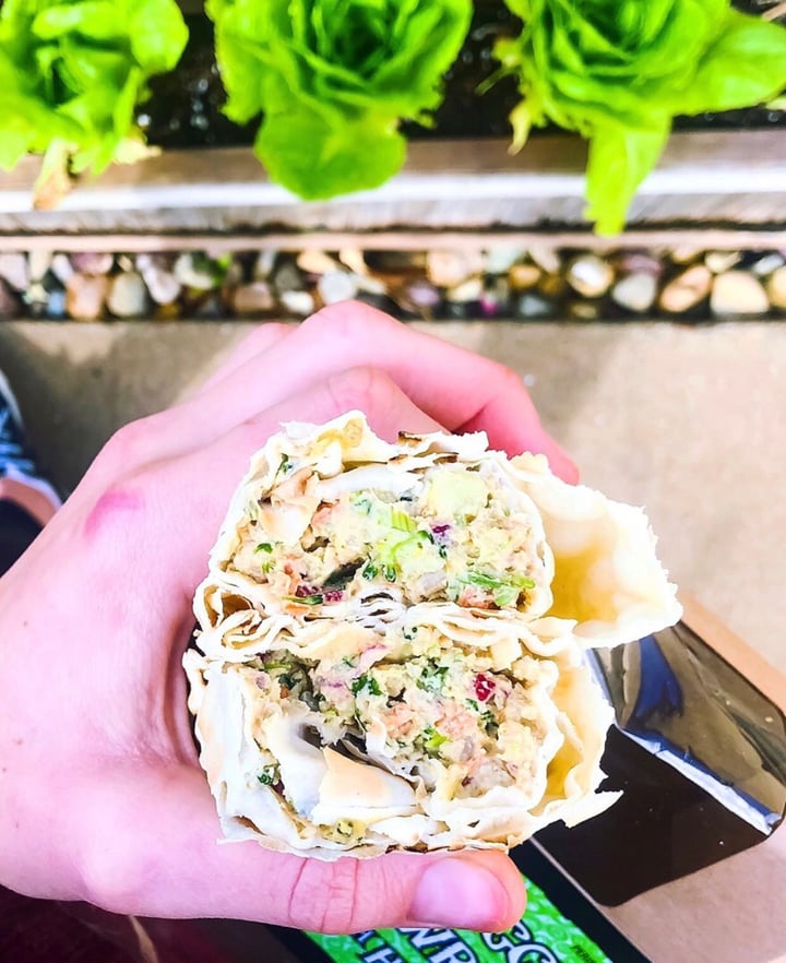 photo of Trader Joe's Veggie Wrap with Hummus shared by @courtneyransom on  16 May 2019 - review