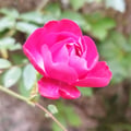 charlie8 @charlie8 profile image