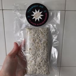 TEMPEH AR
