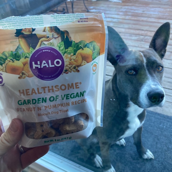 photo of Halo Peanut N’ Pumpkin Biscuit Dog Treats shared by @veganosaventureros on  04 Jan 2022 - review