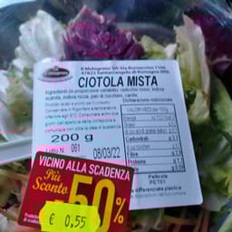Il melograno