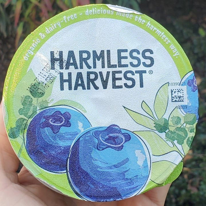 photo of Harmless Harvest Blueberry coconut yoghurt shared by @brtjohns on  01 Nov 2021 - review