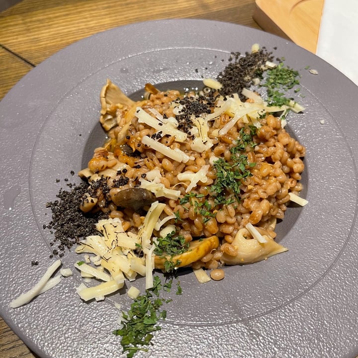 photo of Am I Addicted - Pottery Studio & V Cafe Doenjang Truffle Risotto shared by @mehmehrene on  29 Aug 2022 - review