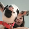 nativegantandil @nativegantandil profile image