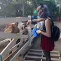 nftptldbyf @nftptldbyf profile image