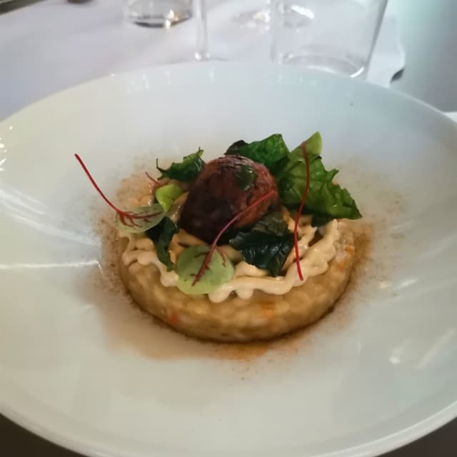 Photo of the dish “Risotto con sfera di funghi”