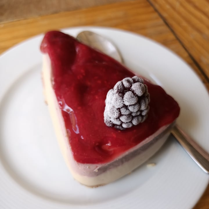 review photo of Falafel Shalom cheese cake shared by @anhco on 16 Jul 2022 - review