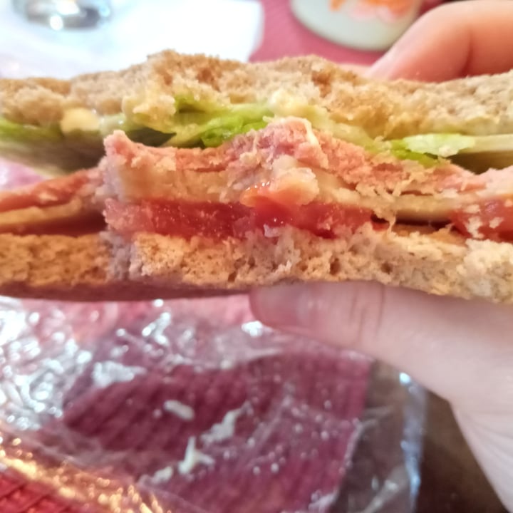 photo of GOPAL Orgánico & Natural sandwich de jamón y queso shared by @ludville on  04 Aug 2020 - review