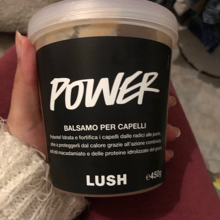 LUSH Fresh Handmade Cosmetics Power Conditioner Review abillion