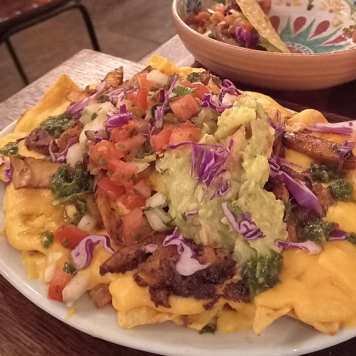 photo of The Fat Cactus Gardens Beeg Cheesy Nachos shared by @gregorygreen on  10 Apr 2022 - review
