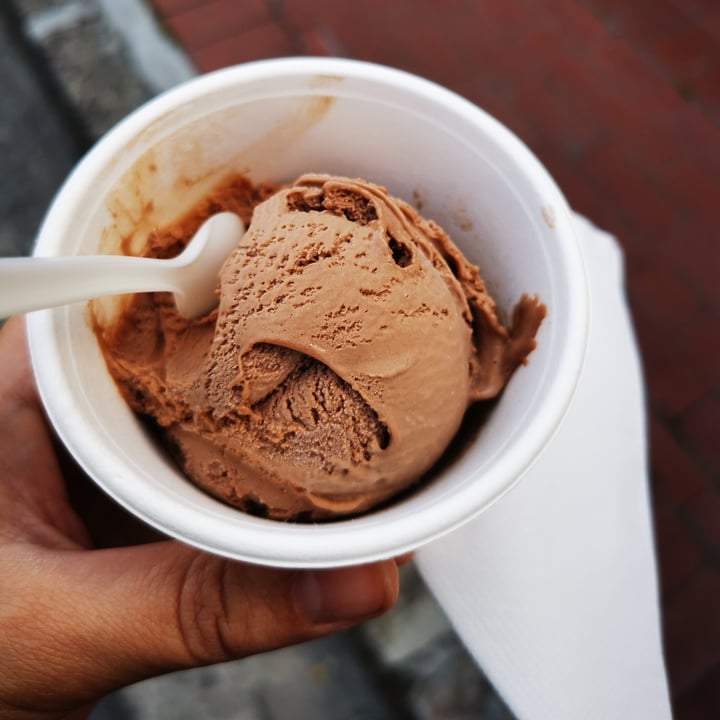 photo of Unframed Ice Cream Vegan Chocolate shared by @laurenkhill on  02 Dec 2020 - review