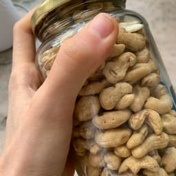 Cashew