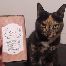 Cocoa Plant Based
