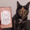 Cocoa Plant Based