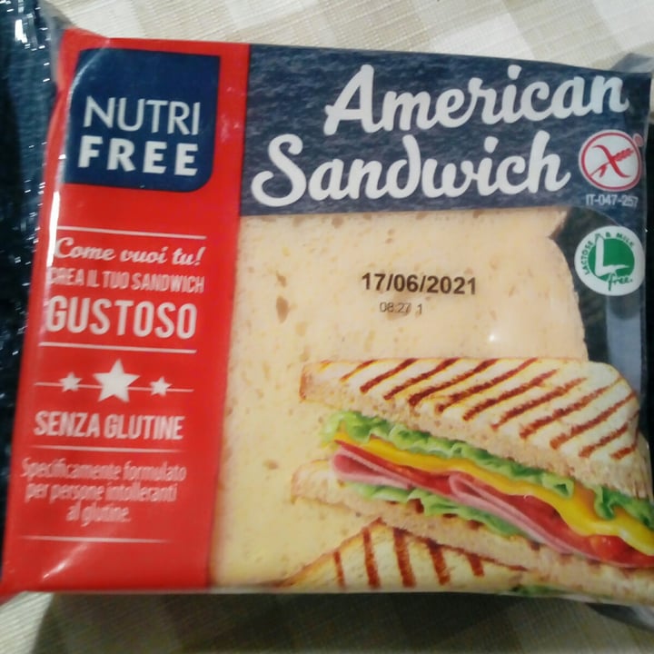 photo of Nutri free american sandwich shared by @ferreirautkina on  20 Apr 2022 - review