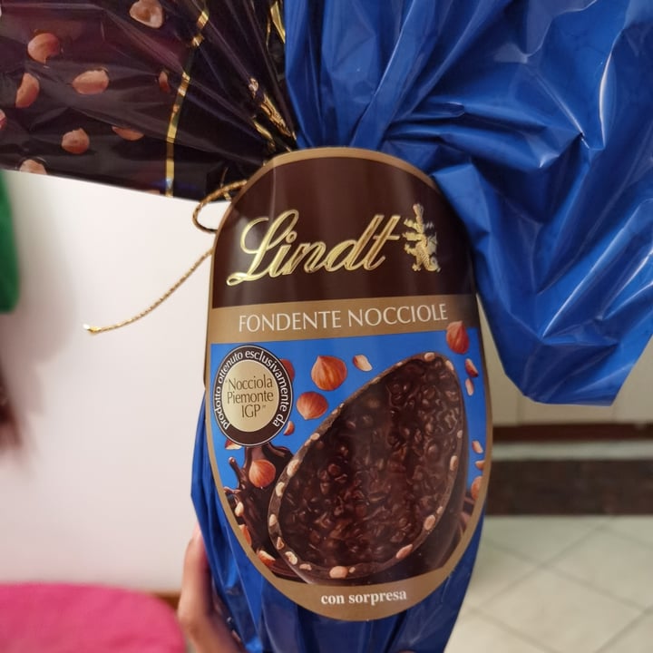 photo of Lindt Uovo Di Pasqua Al Cioccolato Fondente Con Nocciole shared by @vulcanoattivo on  15 Apr 2022 - review