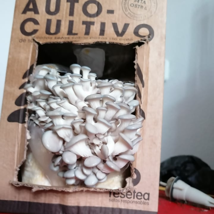 review photo of Garden Gourmet Sensational Salsiccia shared by @veganoonpics on 27 Dec 2021 - review