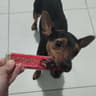 Roshen
