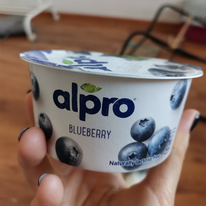 photo of Alpro Blueberry Yogurt shared by @ciupertica on  25 Feb 2021 - review