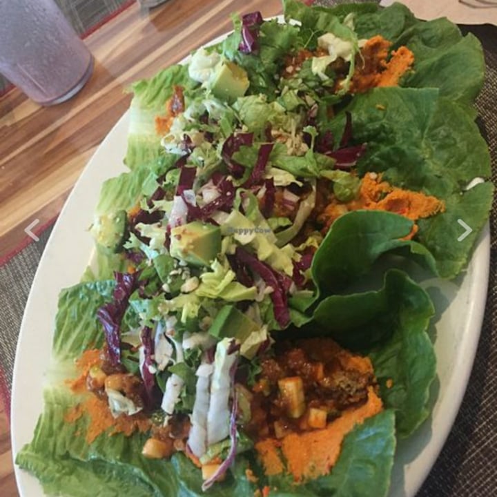 photo of Planet Vegan - Restaurante Vegano Raw Falafel Taco shared by @kaybee1 on  29 May 2020 - review