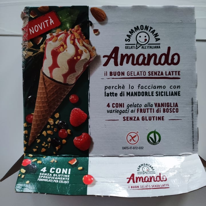 review photo of Sammontana Amando Coni Vaniglia Variegato Ai Frutti Di Bosco shared by @healtygreen on 18 Jul 2022 - review
