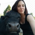 verodamico @verodamico profile image
