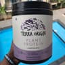 Terra Origin