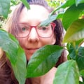 leilasmonnerat @leilasmonnerat profile image