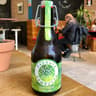 Kashaya kombucha