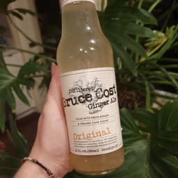 Bruce Cost Ginger Ale