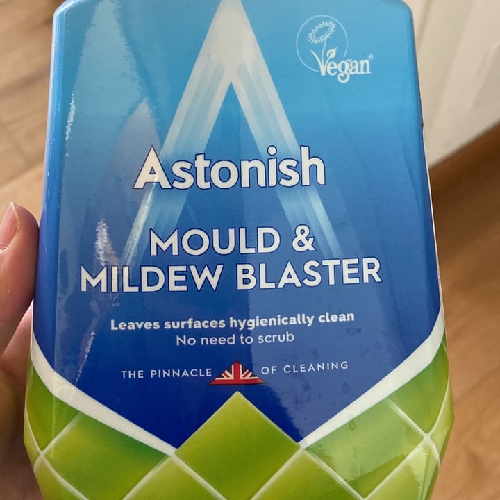 photo of Astonish MOULD & MILDEW BLASTER Vegan shared by @meggygiuanin333 on  13 Apr 2022 - review