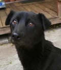 jtbosman10 @jtbosman10 profile image