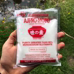 Ajinomoto