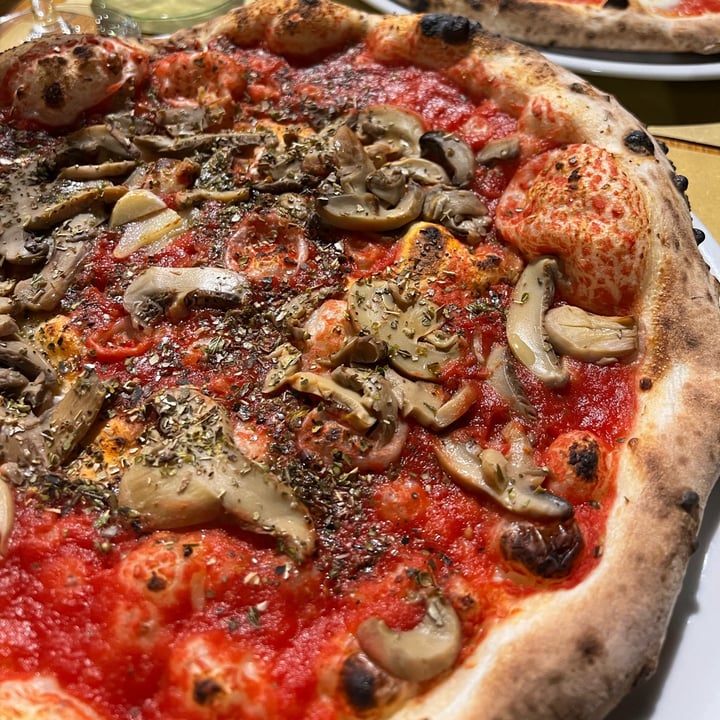 Gustapizza Firenze, Italy Pizza Marinara (+funghi) Review abillion