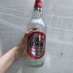 Dr lemon