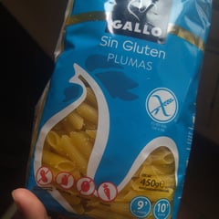 Gallo