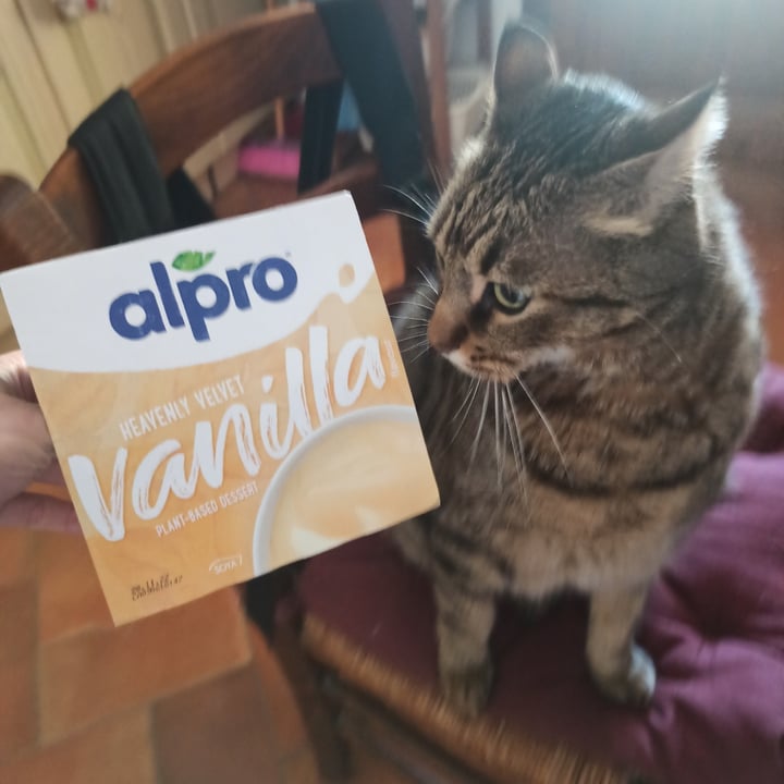 photo of Alpro Budino vaniglia shared by @engi00angi on  30 Jun 2022 - review