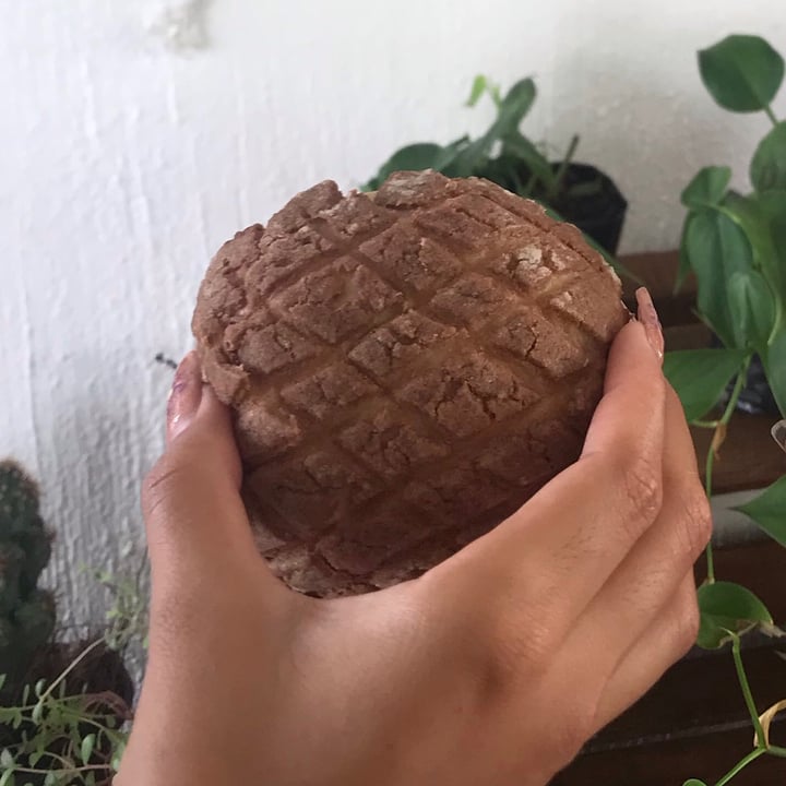 review photo of Basic Foodie Concha De Chocolate shared by @gatitahada on 19 Sep 2021 - review