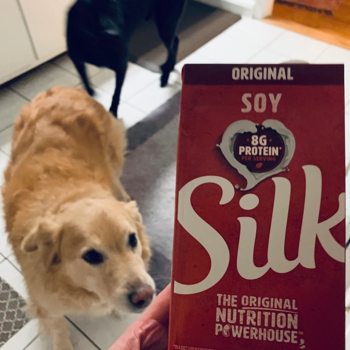 photo of Silk Original Soy Milk shared by @allhess on  17 Dec 2020 - review