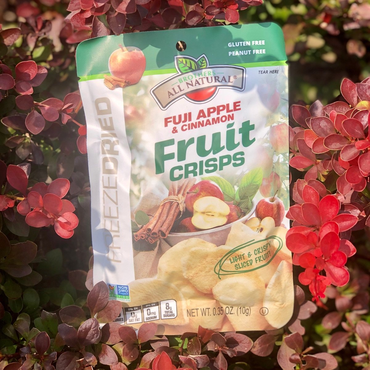 Brothers All Natural Fuji Apple & Cinnamon Fruit Crisps Reviews abillion