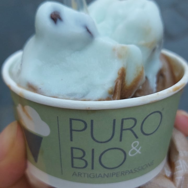 photo of Puro & Bio Gelato Vegan (non Solo Frutta!) shared by @ilariafio on  18 Jun 2022 - review