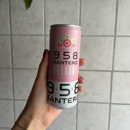 Santero