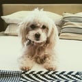 mikelavk @mikelavk profile image