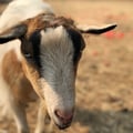 jainnaba @jainnaba profile image