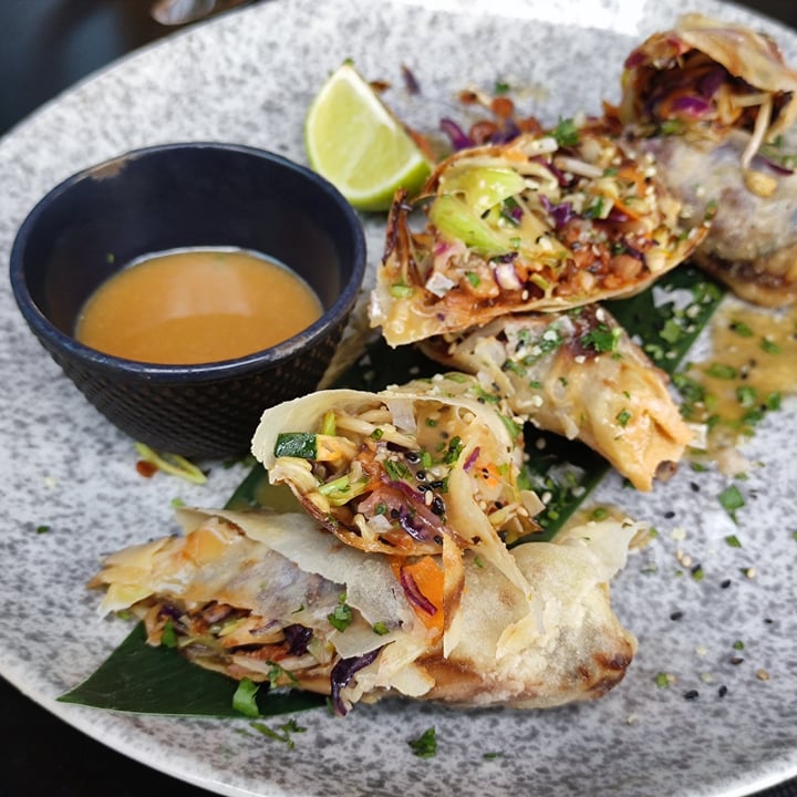 review photo of Wild Food Rollitos Vietnamitas shared by @tropecientaspatas on 24 Sep 2021 - review