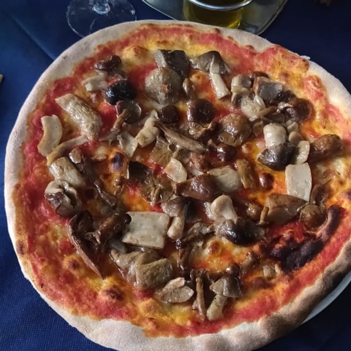 review photo of Pizzeria al Porton misto bosco senza mozzarella e grana shared by @camibonaldi on 16 May 2022 - review