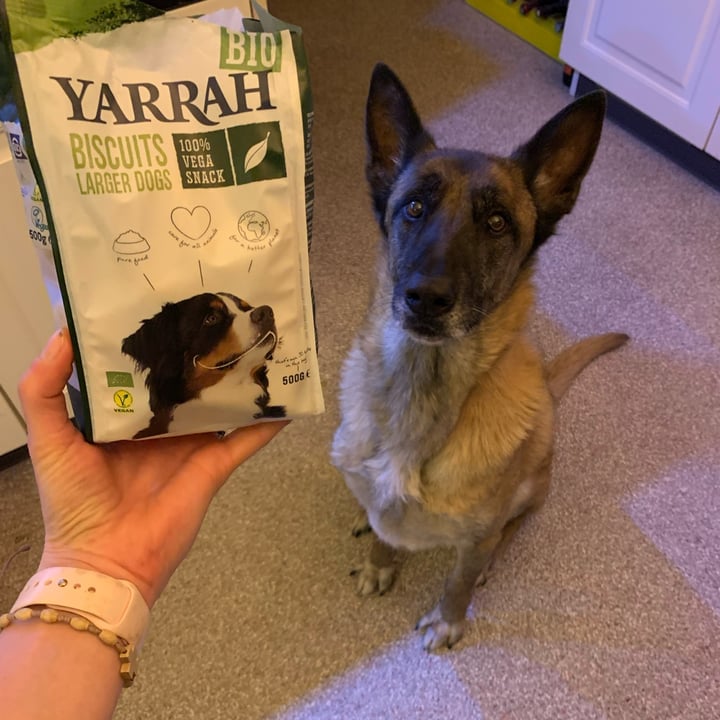 photo of Yarrah Biscuits for Larger Dogs shared by @dieneke on  22 Dec 2021 - review