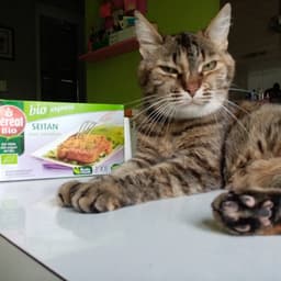 Céréal Bio
