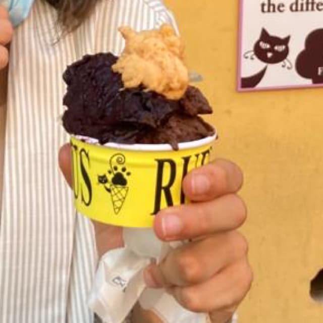 「Cioccolato fondente e more (con un cucchiaino di albicocca)」の料理の写真